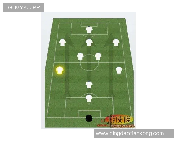 北京羽毛球队区域防守体系解析及其战术应用研究